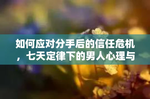 如何应对分手后的信任危机，七天定律下的男人心理与挽回策略