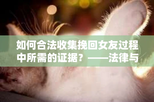 如何合法收集挽回女友过程中所需的证据？——法律与技巧的双重解析