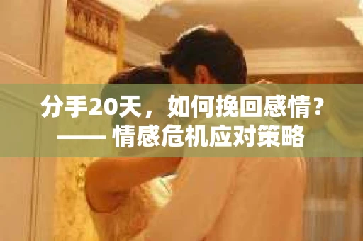 分手20天，如何挽回感情？—— 情感危机应对策略