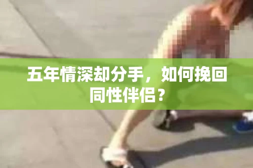 五年情深却分手，如何挽回同性伴侣？
