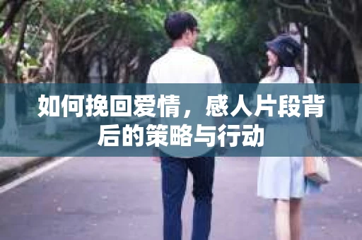 如何挽回爱情，感人片段背后的策略与行动