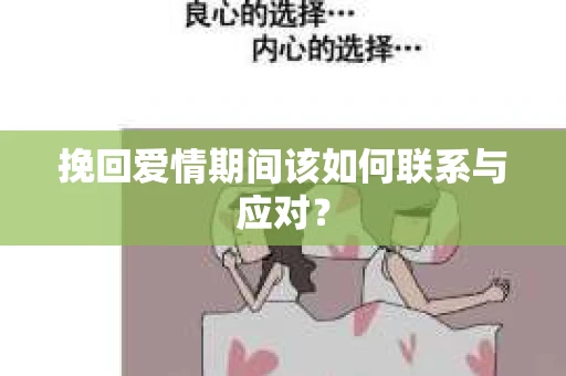 挽回爱情期间该如何联系与应对？