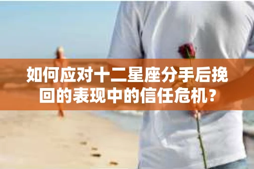 如何应对十二星座分手后挽回的表现中的信任危机？