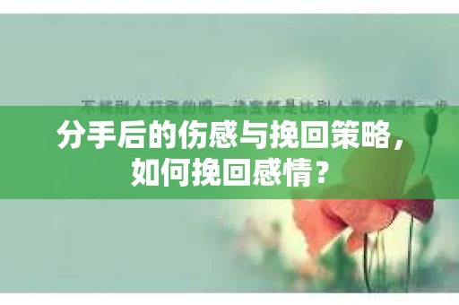 分手后的伤感与挽回策略，如何挽回感情？