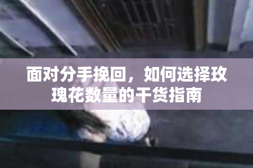 面对分手挽回，如何选择玫瑰花数量的干货指南