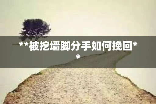 **被挖墙脚分手如何挽回**
