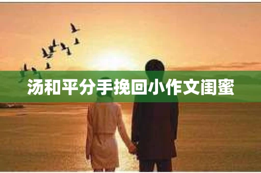汤和平分手挽回小作文闺蜜