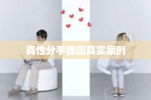 真性分手挽回真实案例