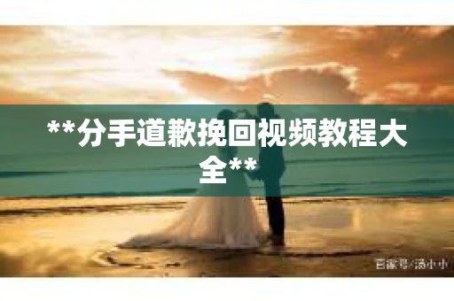 **分手道歉挽回视频教程大全**