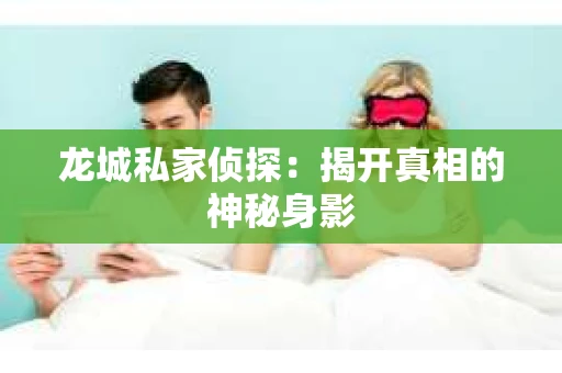 龙城私家侦探：揭开真相的神秘身影