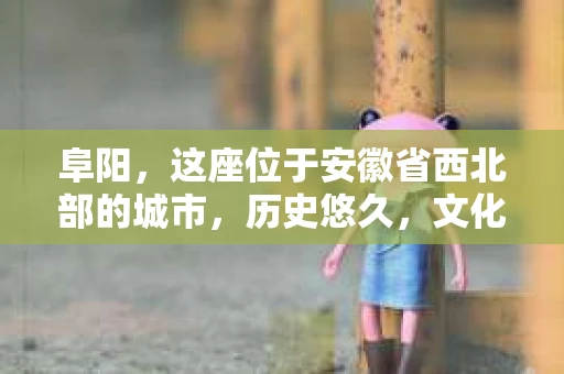 阜阳，这座位于安徽省西北部的城市，历史悠久，文化底蕴深厚。在这样一个充满活力的城市中，私家侦探的身影也逐渐显现。那么，阜阳有私家侦探吗？答案是肯定的。今天，就让我们一起来了解一下阜阳的私家侦探行业。