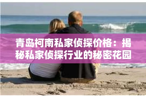 青岛柯南私家侦探价格：揭秘私家侦探行业的秘密花园