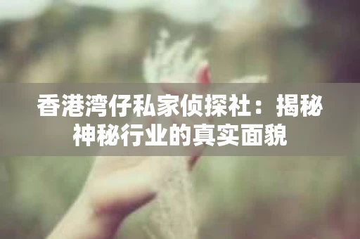 香港湾仔私家侦探社：揭秘神秘行业的真实面貌