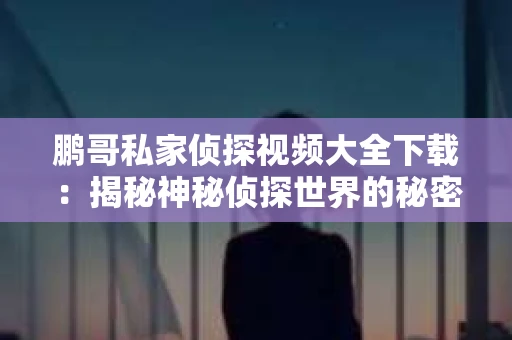 鹏哥私家侦探视频大全下载：揭秘神秘侦探世界的秘密武器