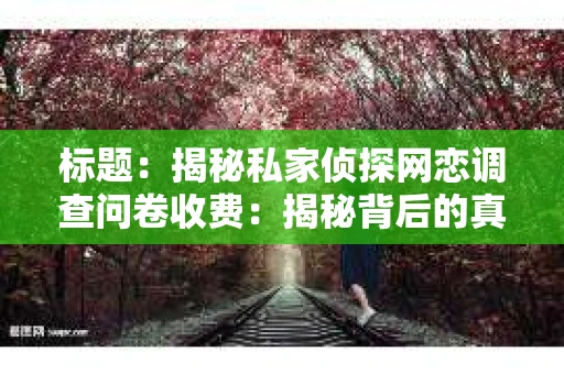 标题：揭秘私家侦探网恋调查问卷收费：揭秘背后的真相