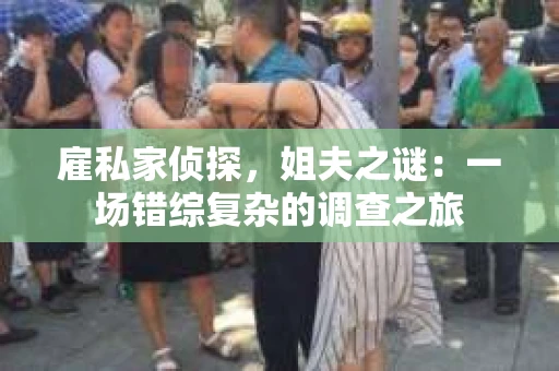 雇私家侦探，姐夫之谜：一场错综复杂的调查之旅