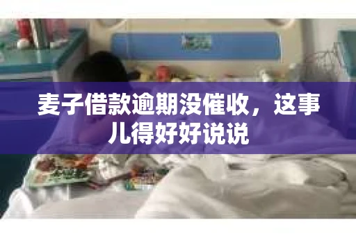 麦子借款逾期没催收，这事儿得好好说说