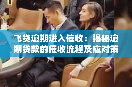 飞贷逾期进入催收：揭秘逾期贷款的催收流程及应对策略