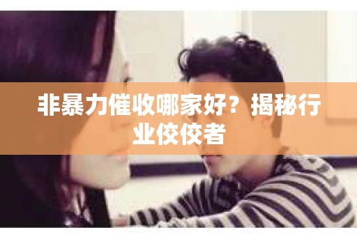 非暴力催收哪家好？揭秘行业佼佼者