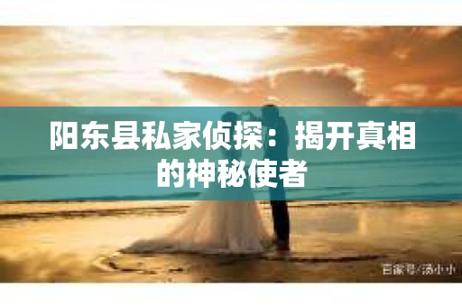阳东县私家侦探：揭开真相的神秘使者