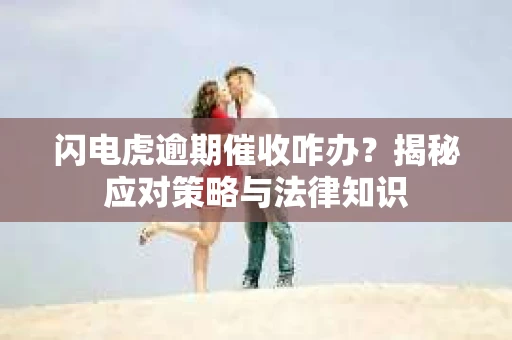 闪电虎逾期催收咋办？揭秘应对策略与法律知识