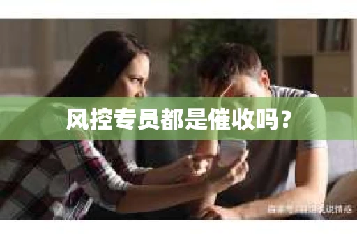 风控专员都是催收吗？