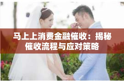 马上上消费金融催收：揭秘催收流程与应对策略