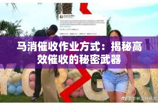 马消催收作业方式：揭秘高效催收的秘密武器