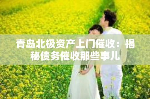 青岛北极资产上门催收：揭秘债务催收那些事儿