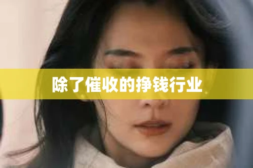除了催收的挣钱行业