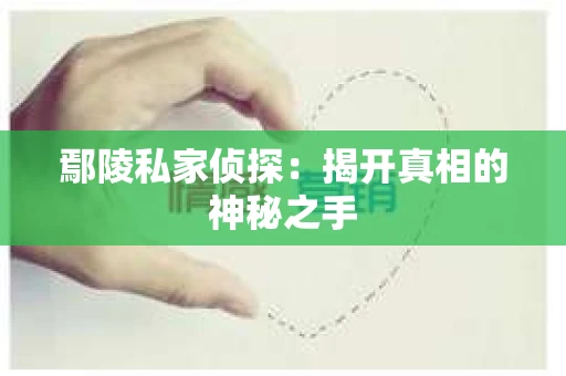鄢陵私家侦探：揭开真相的神秘之手