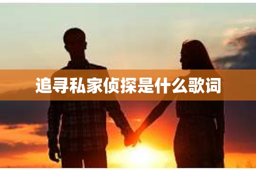 追寻私家侦探是什么歌词