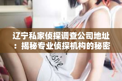 辽宁私家侦探调查公司地址：揭秘专业侦探机构的秘密基地