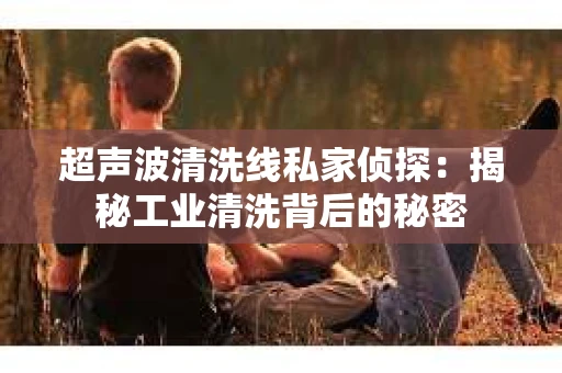 超声波清洗线私家侦探：揭秘工业清洗背后的秘密