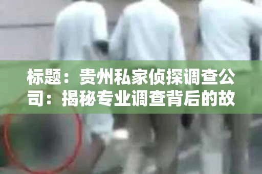 标题：贵州私家侦探调查公司：揭秘专业调查背后的故事