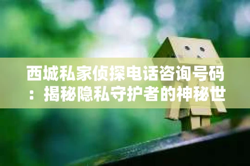 西城私家侦探电话咨询号码：揭秘隐私守护者的神秘世界
