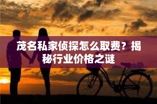 茂名私家侦探怎么取费？揭秘行业价格之谜