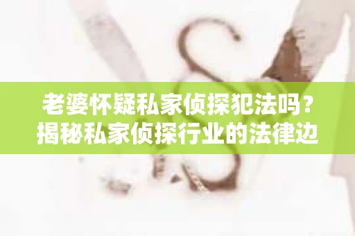 老婆怀疑私家侦探犯法吗？揭秘私家侦探行业的法律边界