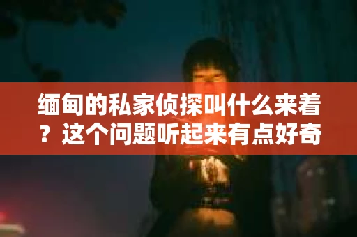 缅甸的私家侦探叫什么来着？这个问题听起来有点好奇，也带点神秘。缅甸，这个东南亚国家，以其独特的文化和历史背景吸引着无数探险者的目光。而在缅甸，私家侦探这个职业，也有着它独特的称呼和故事。今天，就让我来带你一探究竟。