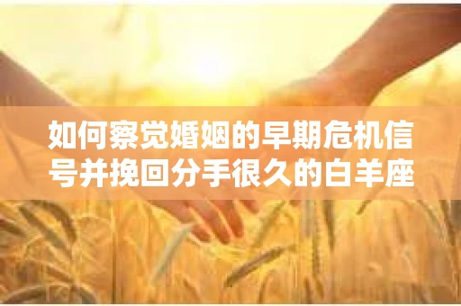如何察觉婚姻的早期危机信号并挽回分手很久的白羊座？