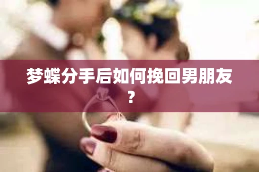梦蝶分手后如何挽回男朋友？