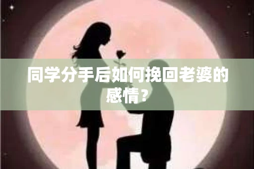 同学分手后如何挽回老婆的感情？