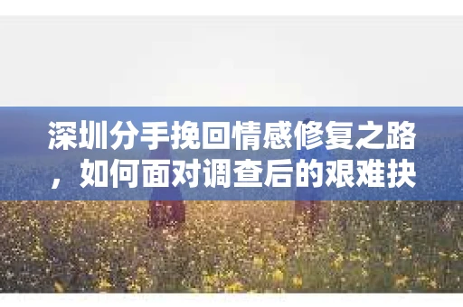 深圳分手挽回情感修复之路，如何面对调查后的艰难抉择？