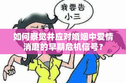 如何察觉并应对婚姻中爱情消磨的早期危机信号？
