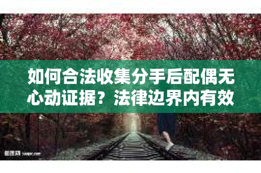 如何合法收集分手后配偶无心动证据？法律边界内有效取证方案